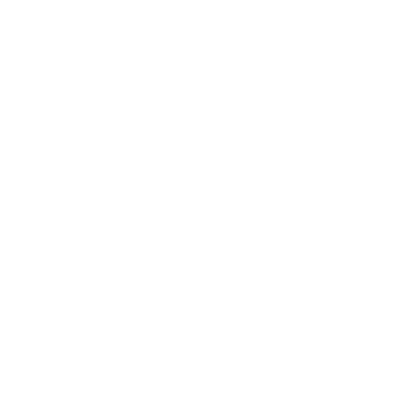 logo-aice